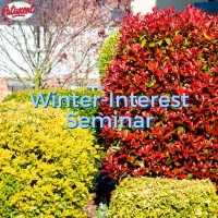Winter Interest Seminar