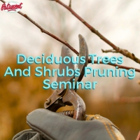 Deciduous Trees And Shrubs Pruning Seminar