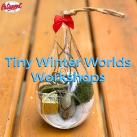 Tiny Winter Worlds Workshops Tiny Winter Worlds Workshops