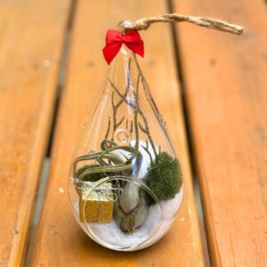 Winter Terrarium - Ornament