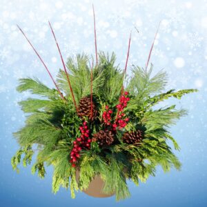 Winter Porch Pot Workshop 2025 top view