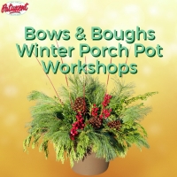 Bows & Boughs Winter Porch Pot Workshop