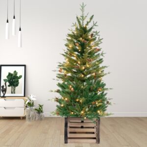 Artificial Christmas Tree: 4' Pre-Lit Asheville Fir