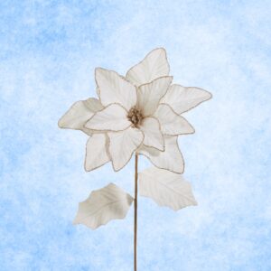 Stem: 27" Ivory Poinsettia