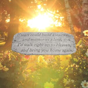 If Tears Could Bench