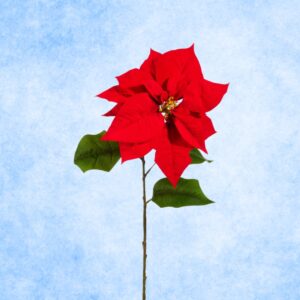 Stem: 28" Red Poinsettia