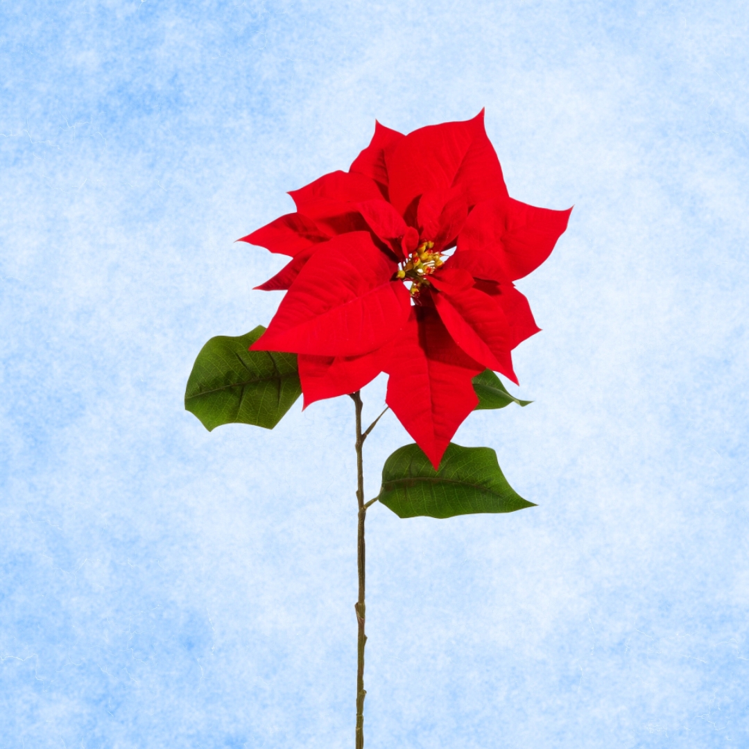 28" Red Poinsettia Stem