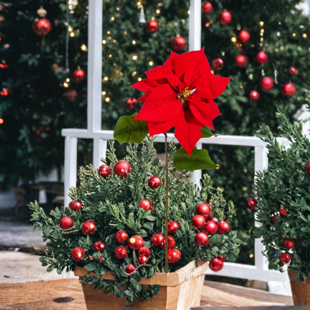 28" Red Poinsettia Stem in a porch pot