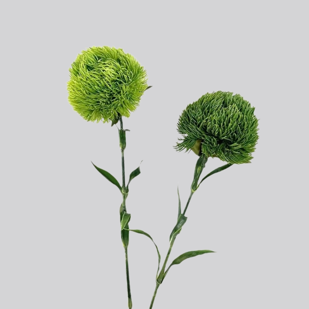 21.5" Realistic Faux Dianthus Green Ball Fresh Green Stem