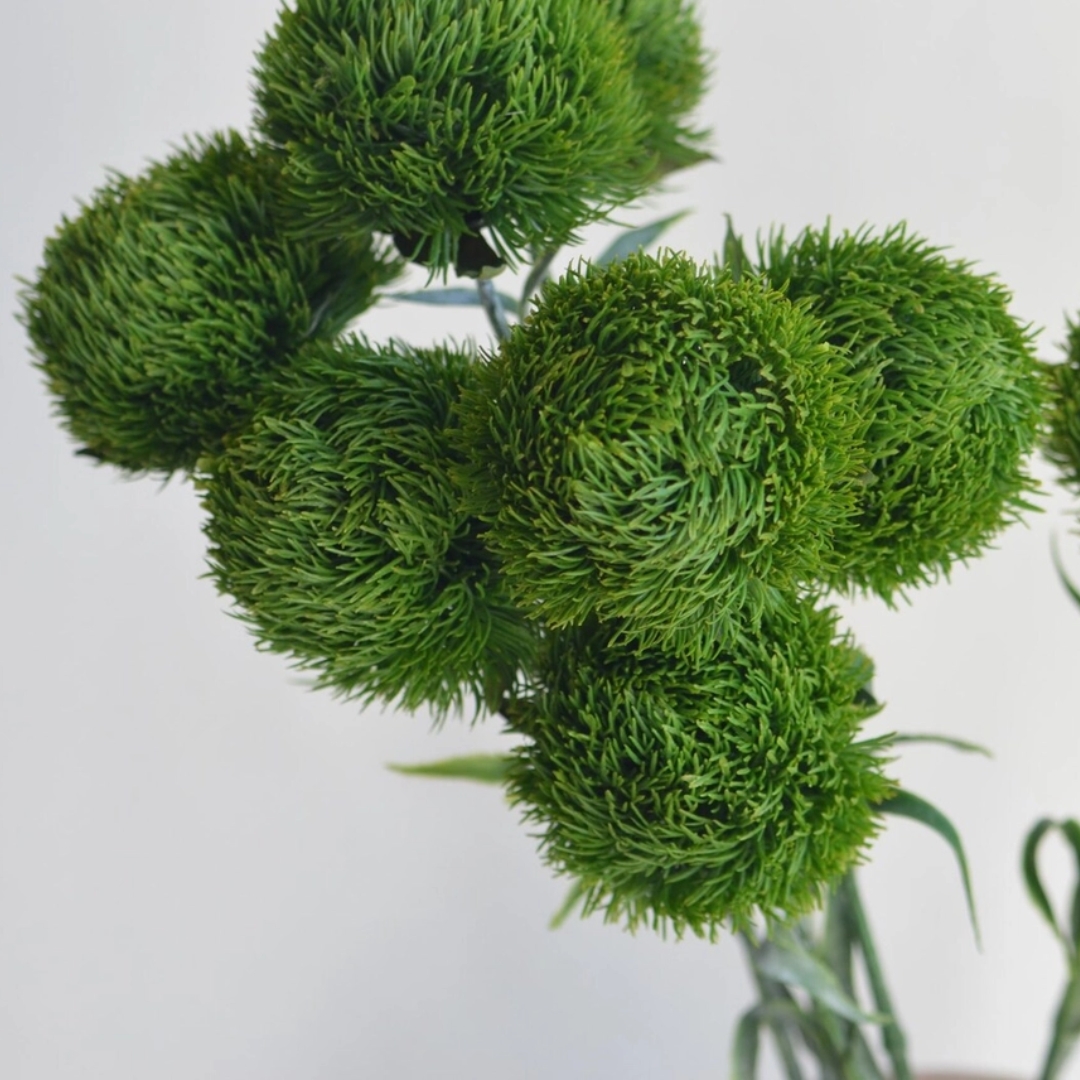 21.5" Realistic Dianthus Green Ball Stem group
