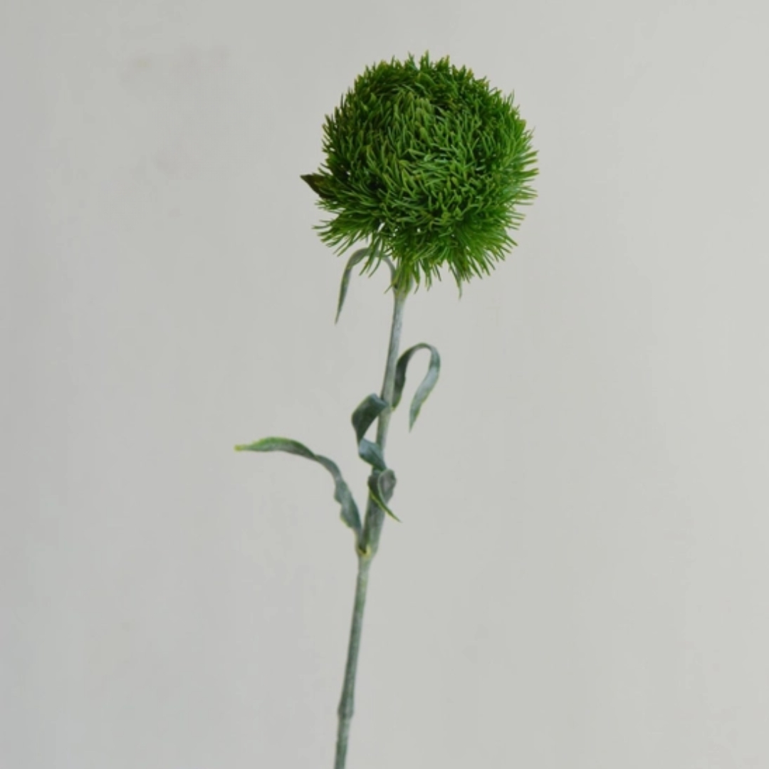 21.5" Realistic Dianthus Green Ball Stem single