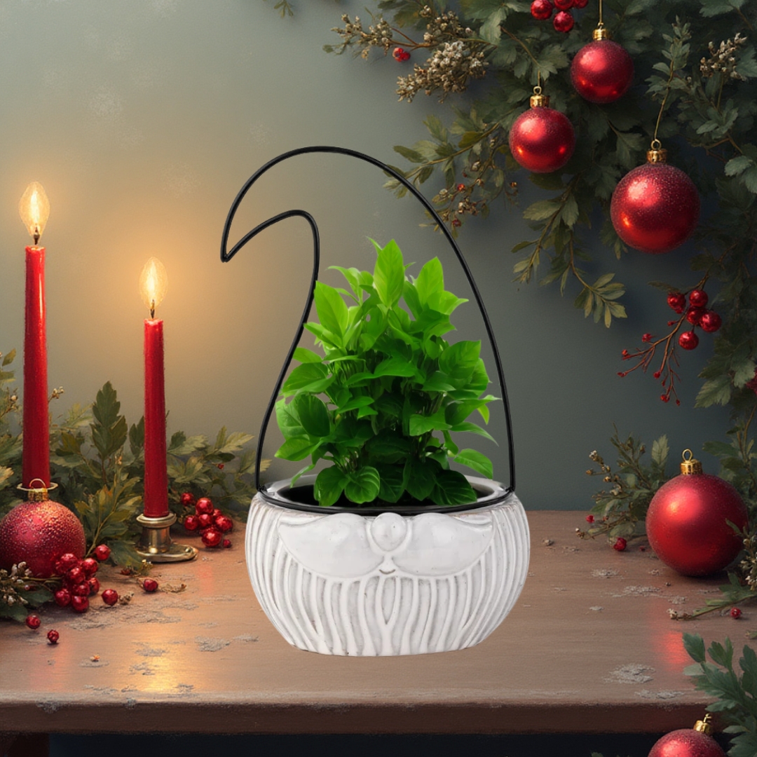 Gnome with Wire Head Planter