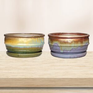 Fusion Belted Dish Garden