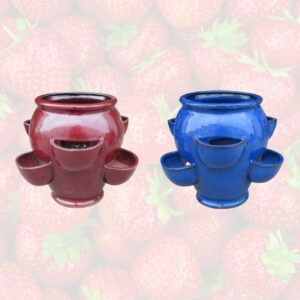 Melville Strawberry Jar