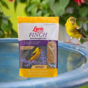 Lyric Finch & Small Songbird Bird Seed Mix