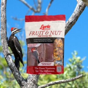 Lyric Fruit & Nut High Energy Mix