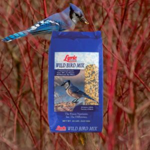 Lyric Wild Bird Mix