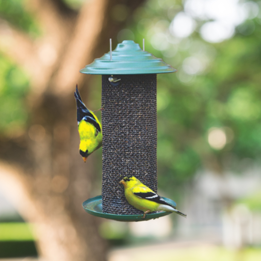 Mini Thistle Bird Feeder