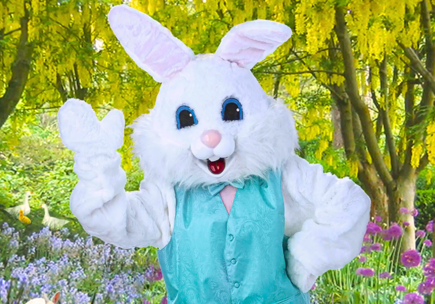 Meet Our Easter Bunny