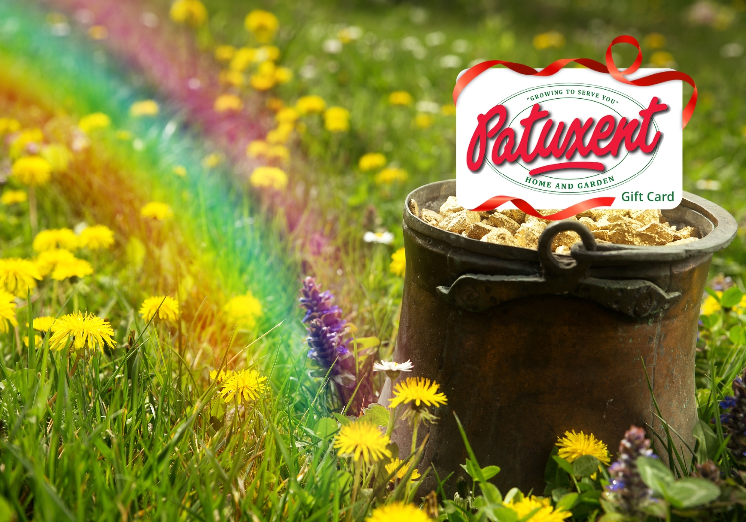 Lucky Leprechaun Gift Card Raffle