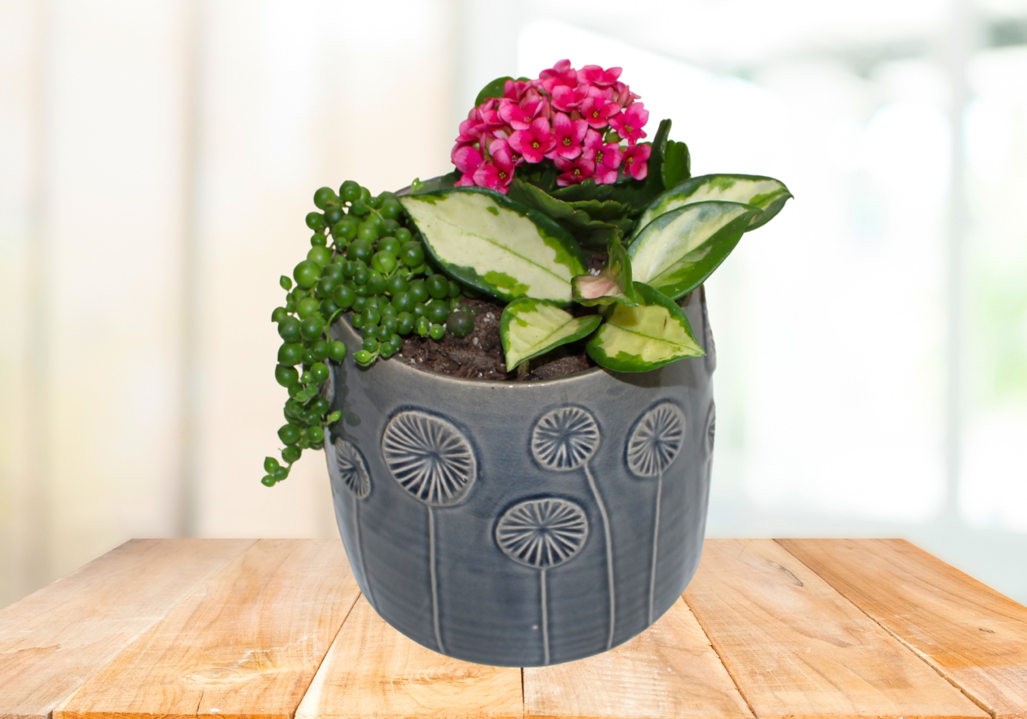 Spring Houseplant Container Gardening Workshop