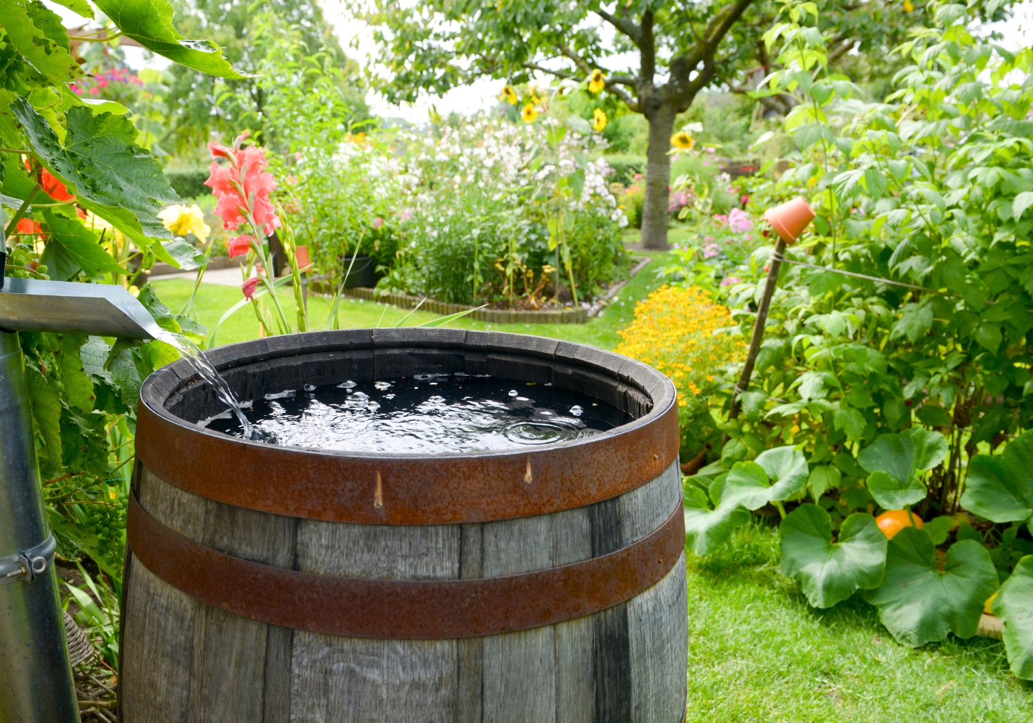 Sustainable Gardening Seminar