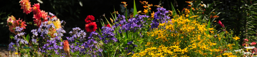 Flower Garden