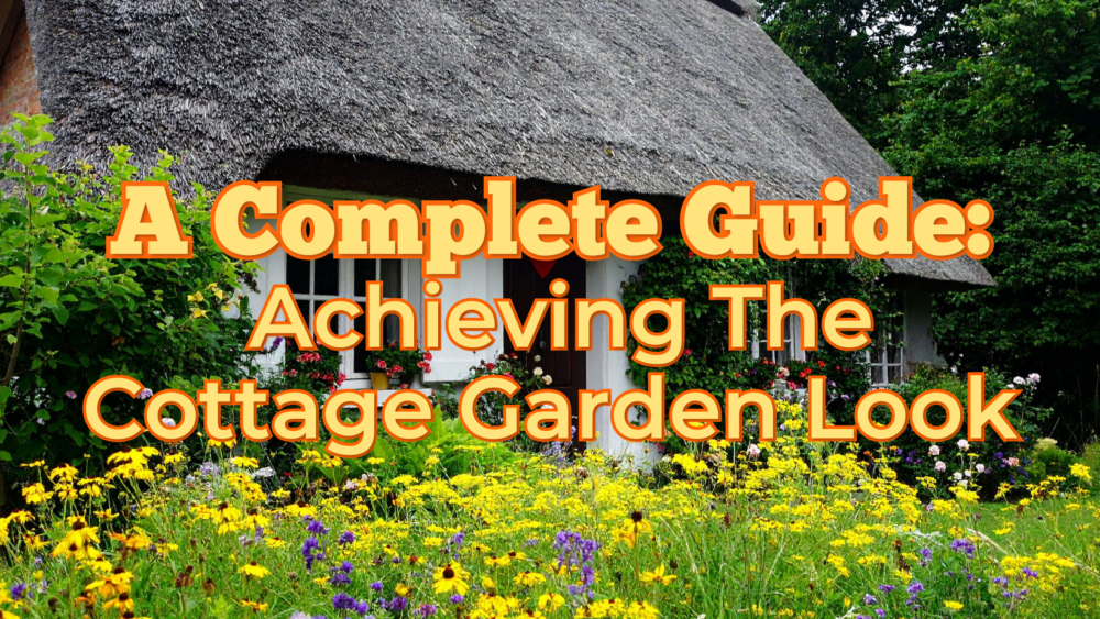 A Complete Guide: Achieving The Cottage Garden Look