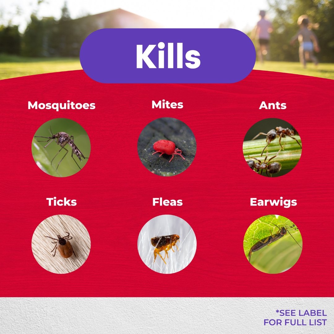 Bonide Eight Insect Control Yard & Garden kills