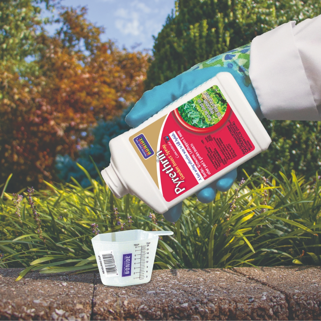 Pyrethrin Garden Spray Concentrate in a measuring cup