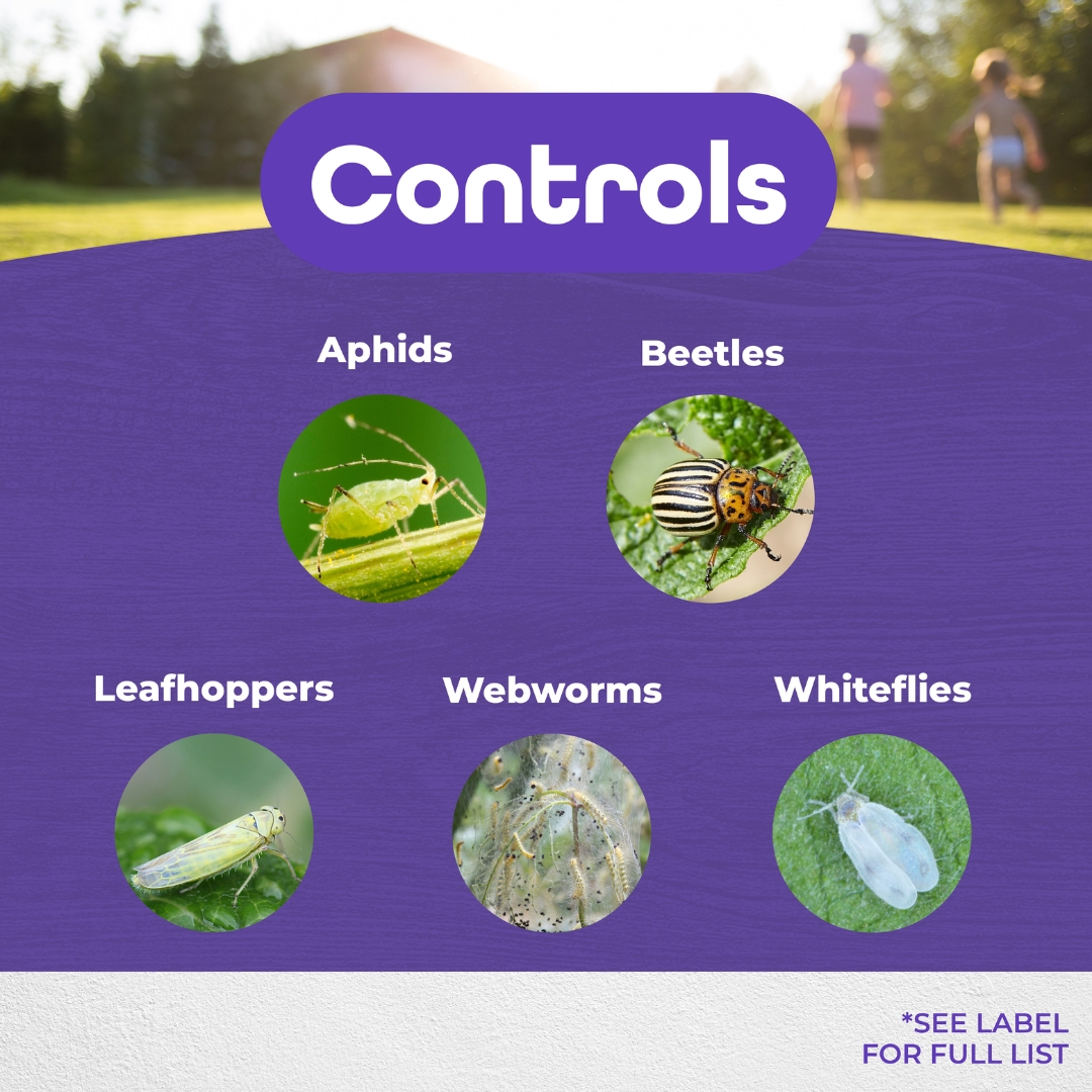Pyrethrin Garden Spray Concentrate pest control