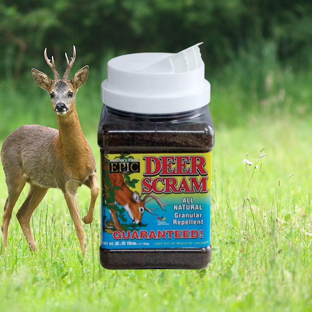 Deer Scram