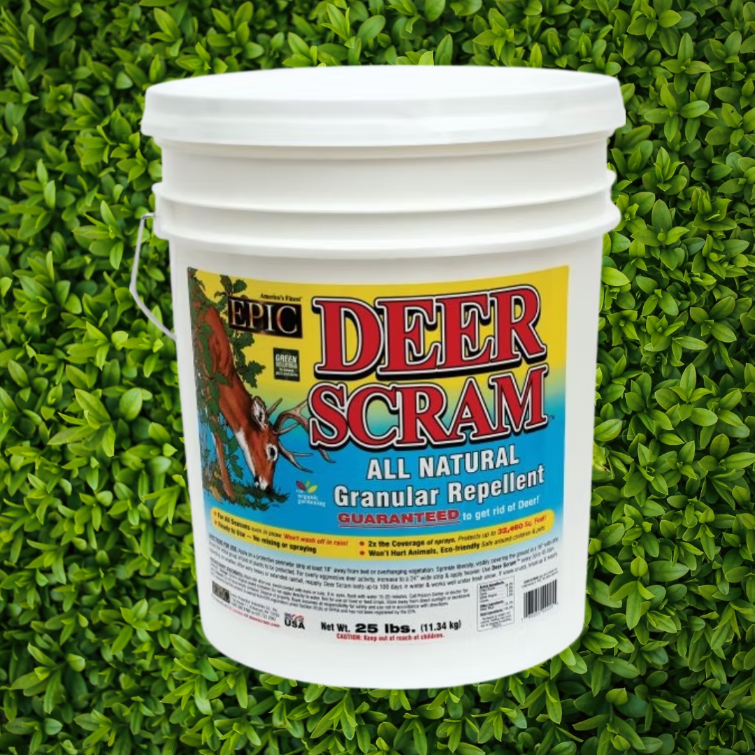 Deer Scram bucket