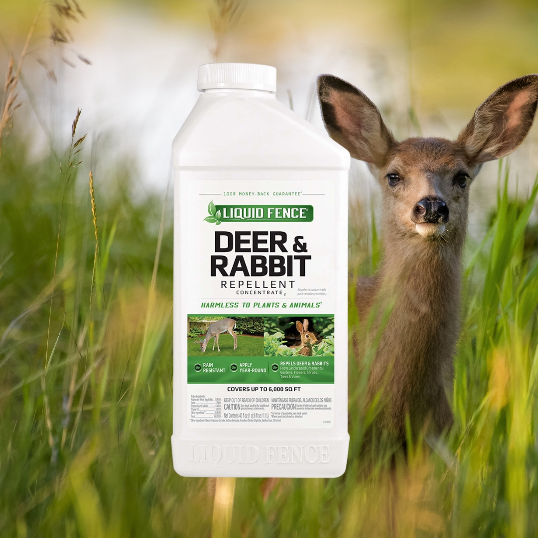 Liquid Fence Deer & Rabbit Repellent Concentrate