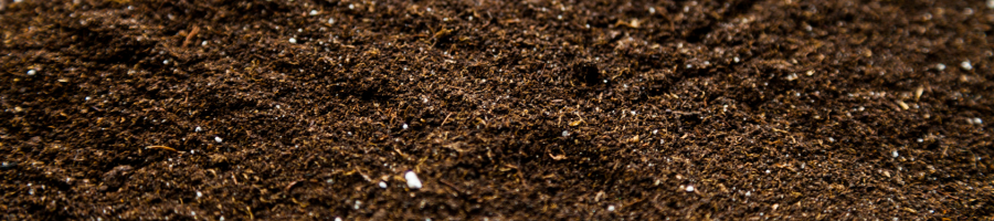 soil close up