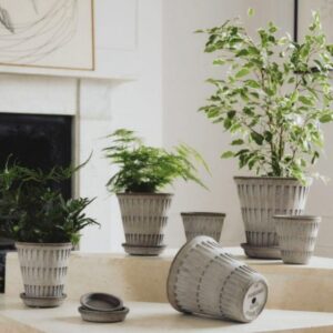 Pantheon Pot