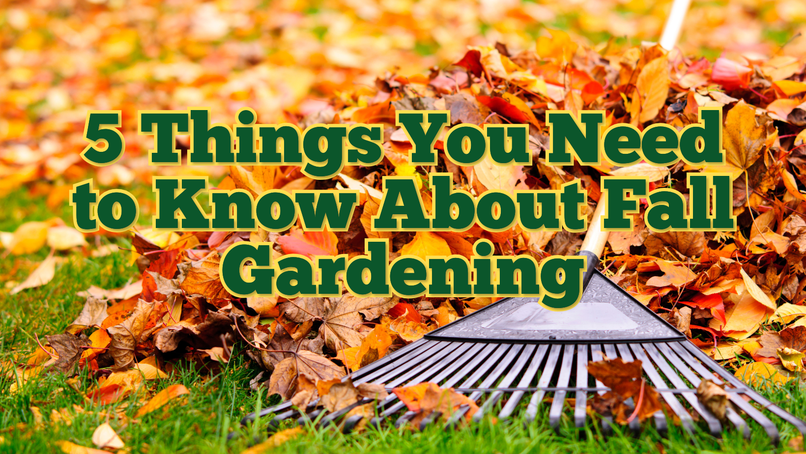5 Things You Need to Know About Fall Gardening