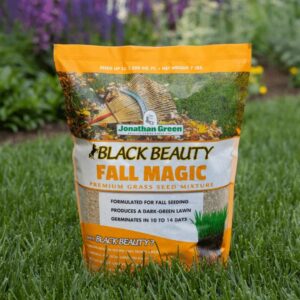 Jonathan Green Black Beauty Fall Magic Grass Seed