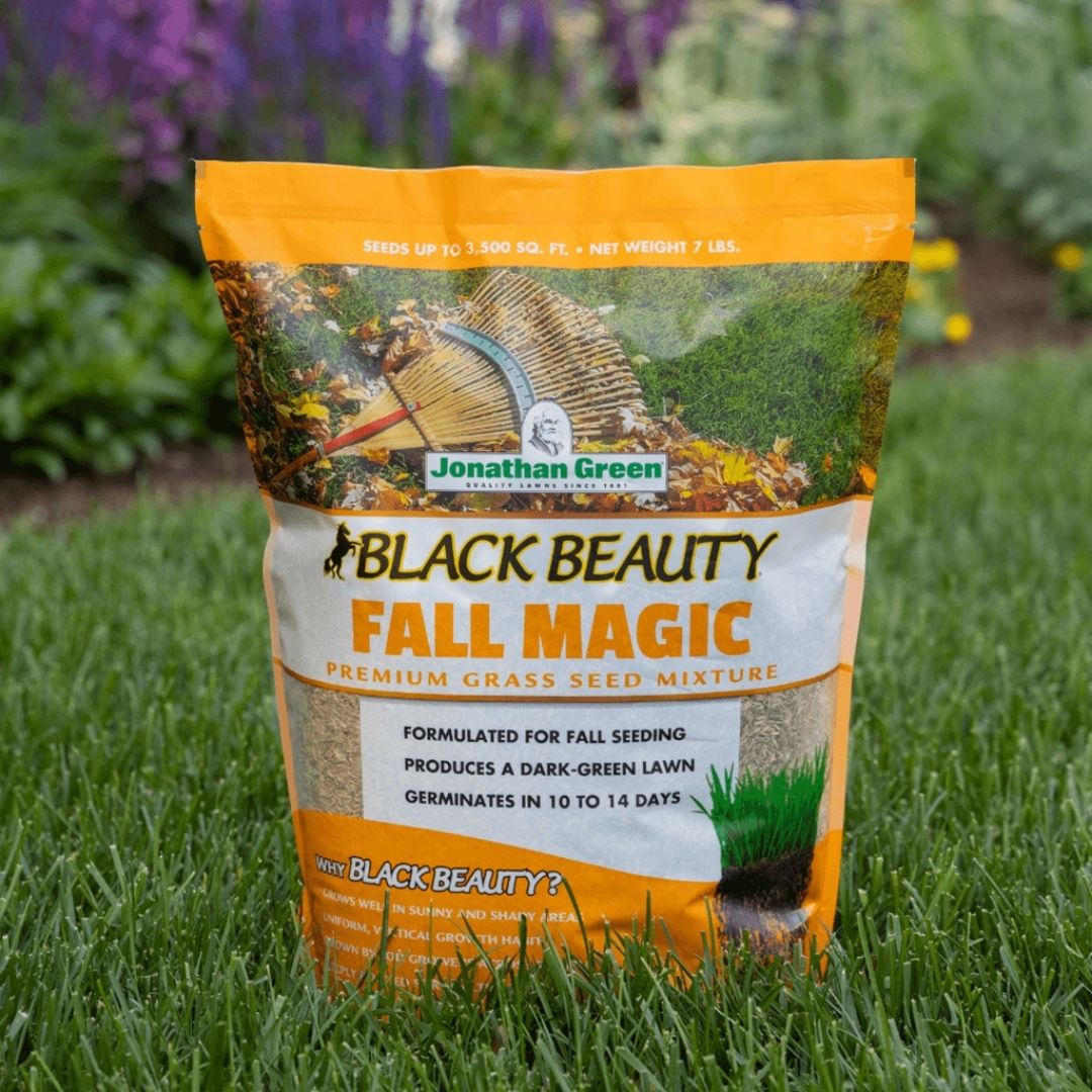 Jonathan Green Black Beauty Fall Magic Grass Seed