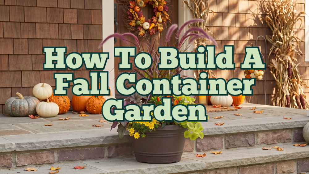 How To Build A Fall Container Garden