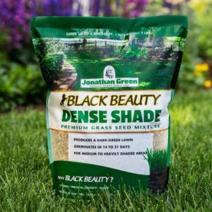 Jonathan Green Black Beauty Dense Shade Grass Seed