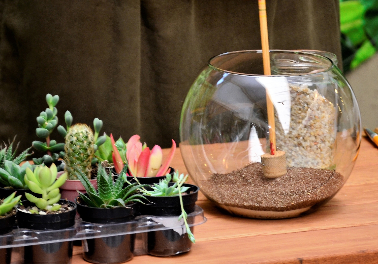 Kids’ Spooky Terrarium Workshop