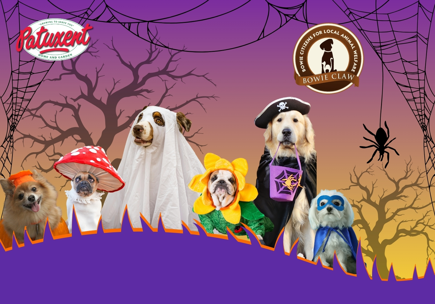 Paws & Claws Howl-O-Ween Fest 2026